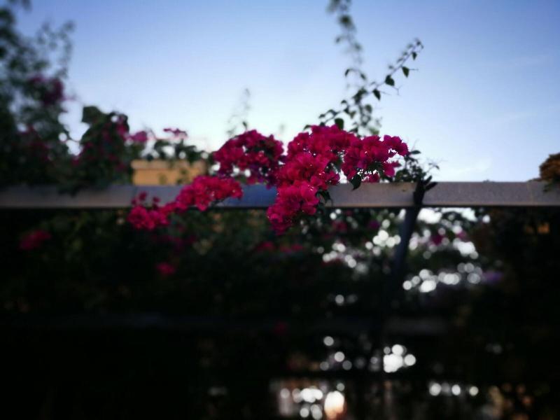 Santa Caterina Hotel Pompei Luaran gambar